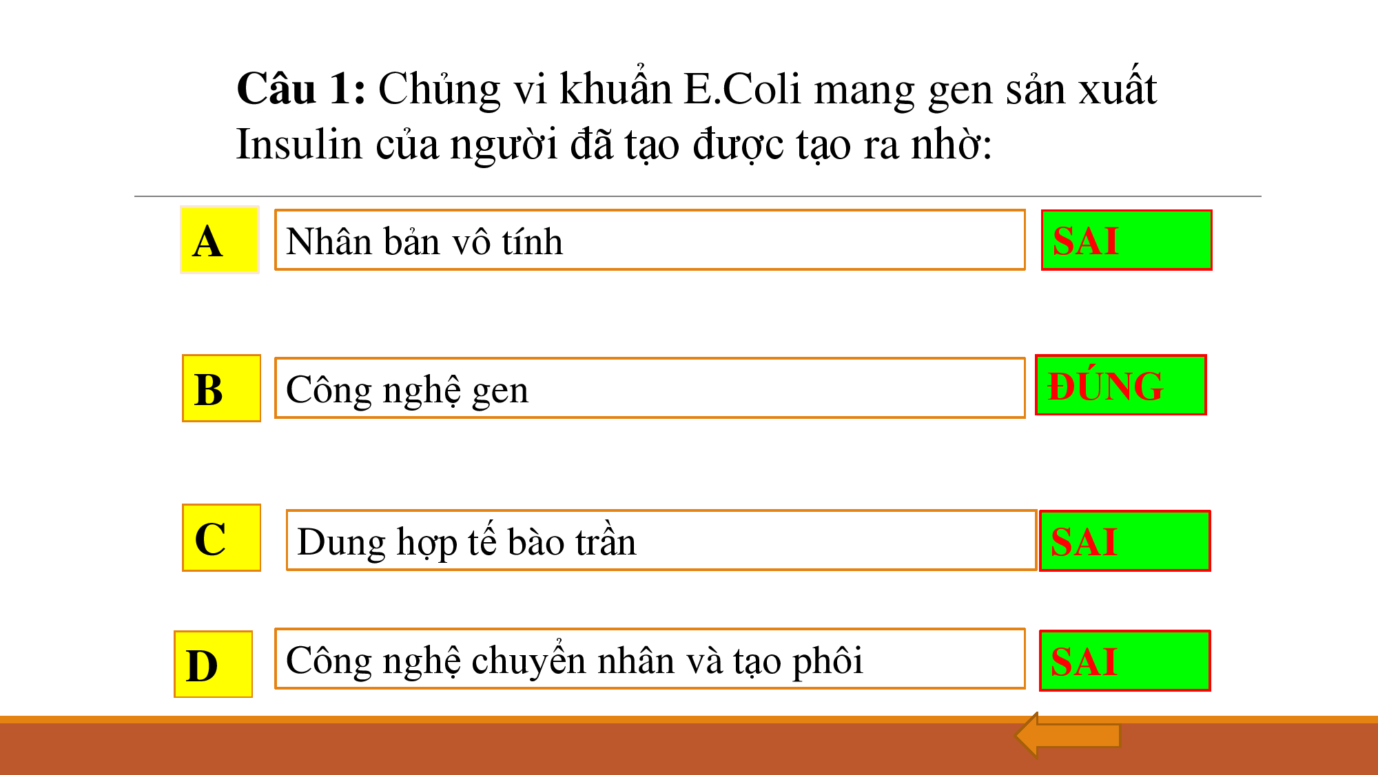 KHỐI 9 - SINH HỌC - BÀI 34 - THOÁI HÓA GIỐNG DO TỰ THỤ PHẤN VÀ GIAO PHỐI GẦN